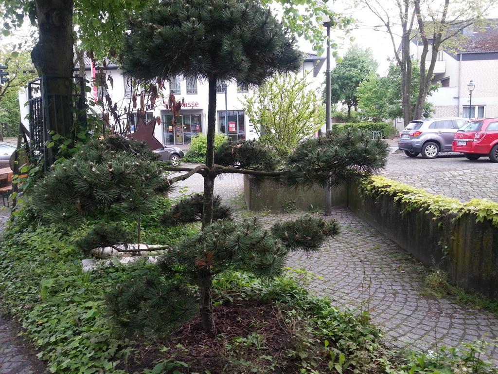 Gasthof Altes Farmhaus Und Apartment Lienen Exterior foto